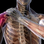 Что показывает КТ плечевого сустава
