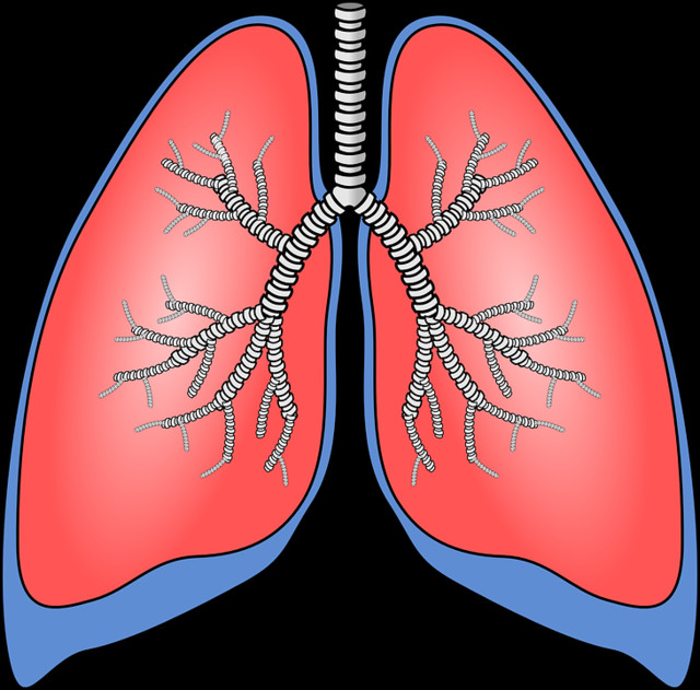 Компьютерная томография органов дыхания